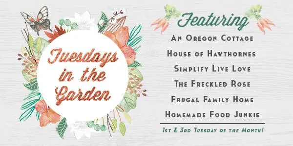 Tuesdays In The Garden Blog Hop!