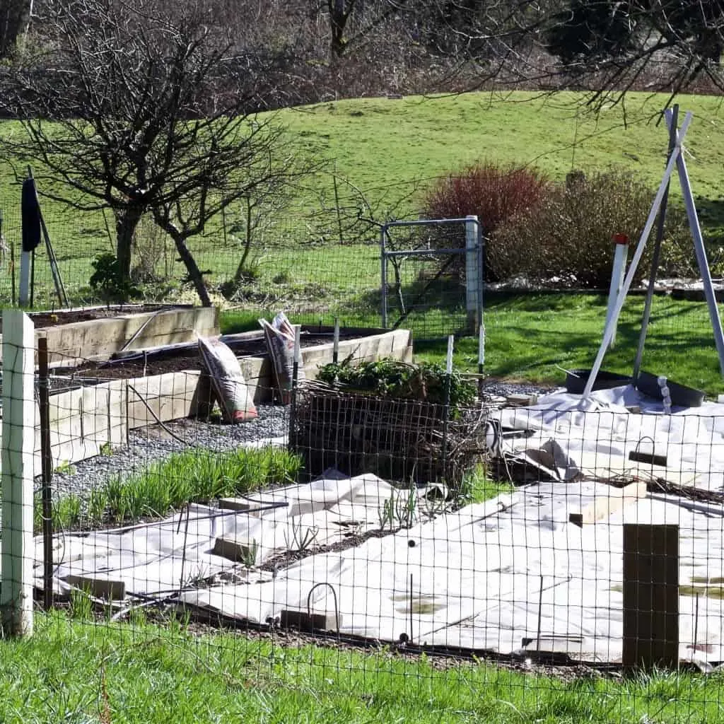 This Is Our Garden In March 2016. Dave Is Getting The Spring Garden Prep Done!