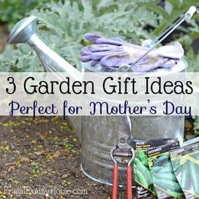 3 Garden Gift Ideas