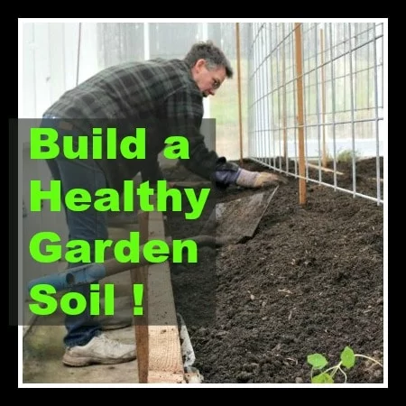 Build a healthy Garden Soil