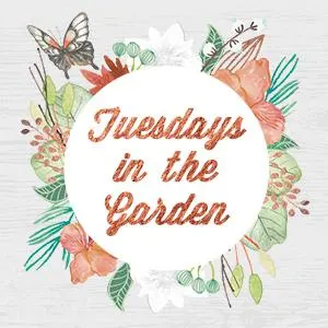 Tuesdays In The Garden Blog Hop