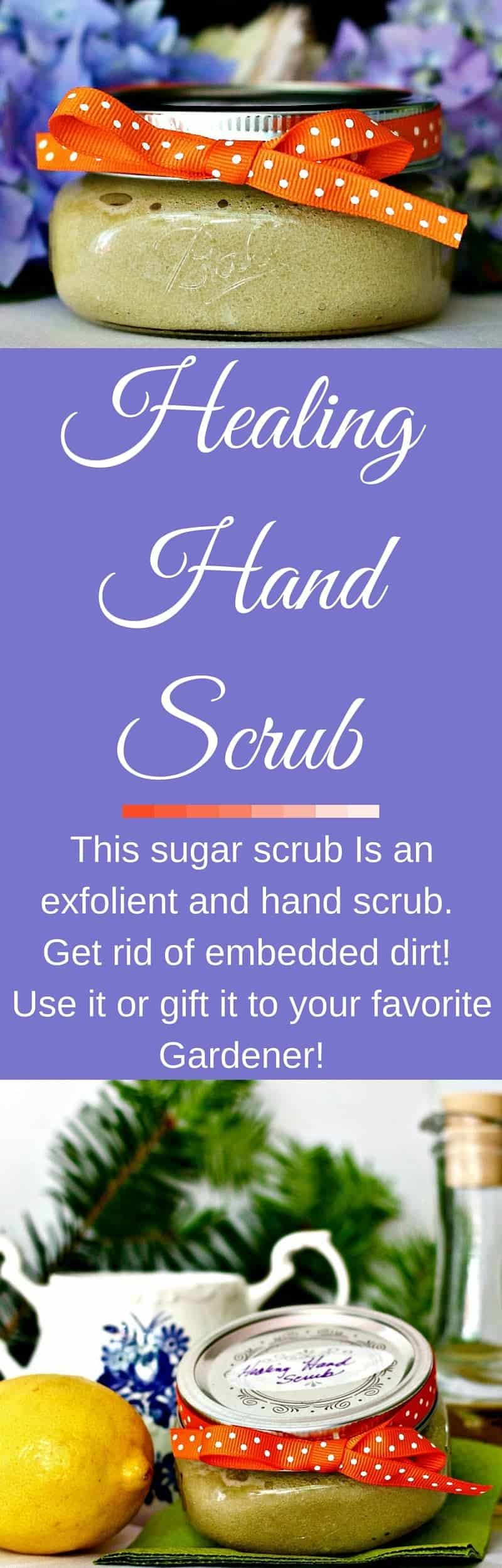 Healing Hand Scrub Homemade Food Junkie