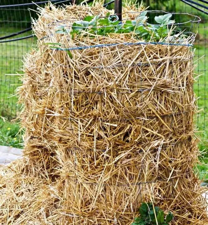 Easy DIY Potato Tower-wire