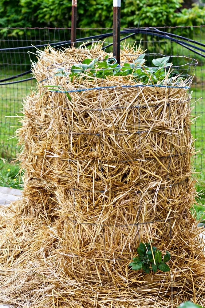 Easy Diy Potato Tower-Wire