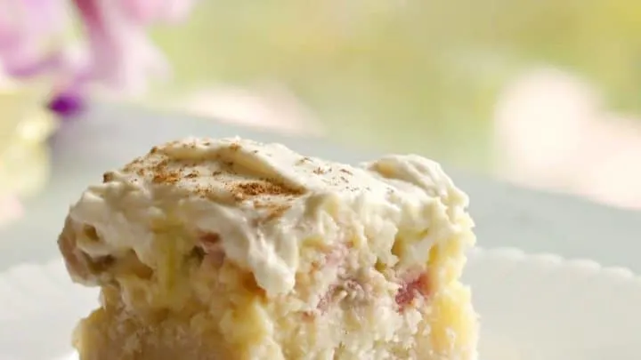 Rhubarb Delight Shortbread Squares 4 Creamy Rhubarb Shortbread Squares