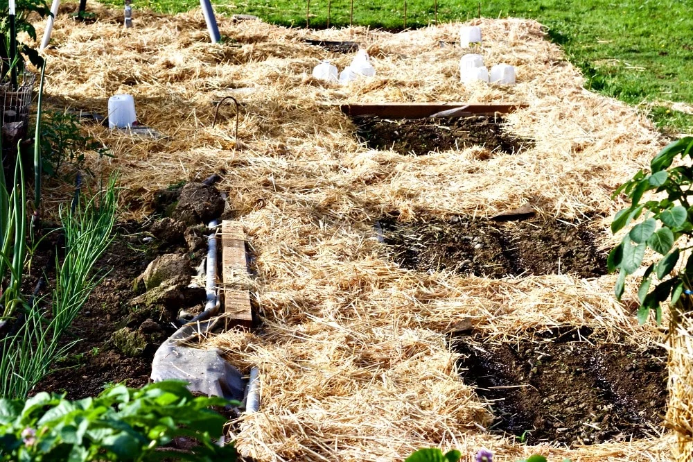 Lasagna Gardening Method: Save Garden Labor And Water While Improving The Soil! Http://Homemadefoodjunkie.com