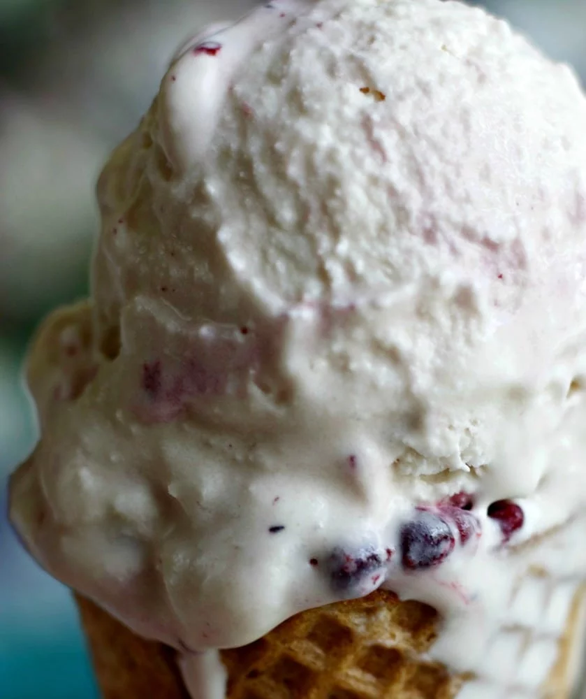 Infused With Rich Maple And Brown Sugar Flavor, This Creamy Textured Berry Buttermilk Ice Cream Contains No White Sugar. This Recipe Is Easy To Make! No Eggs Or Custard Making Required For This Scrumptious Homemade Ice Cream. Whisk The Few Ingredients, And Pour It In Your Freezer Bowl. Soft Set In Less Than 1/2 Hour! Low-Sodium, Vegetarian, Gluten-Free! Http://Homemadefoodjunkie.com