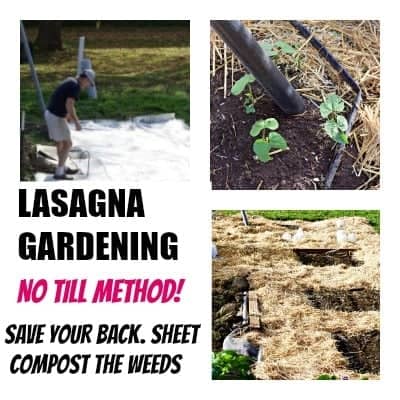 Lasagna Gardening Method: Save Garden Labor And Water While Improving The Soil! Http://Homemadefoodjunkie.com