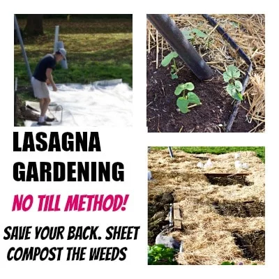 Lasagna Gardening Method http://homemadefoodjunkie.com