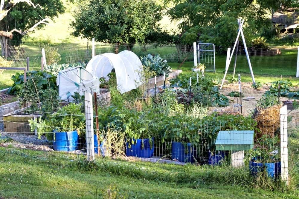 2016 Summer Garden tour
