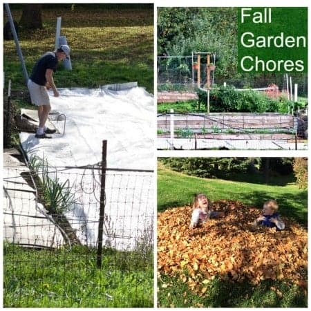 Fall Garden chores