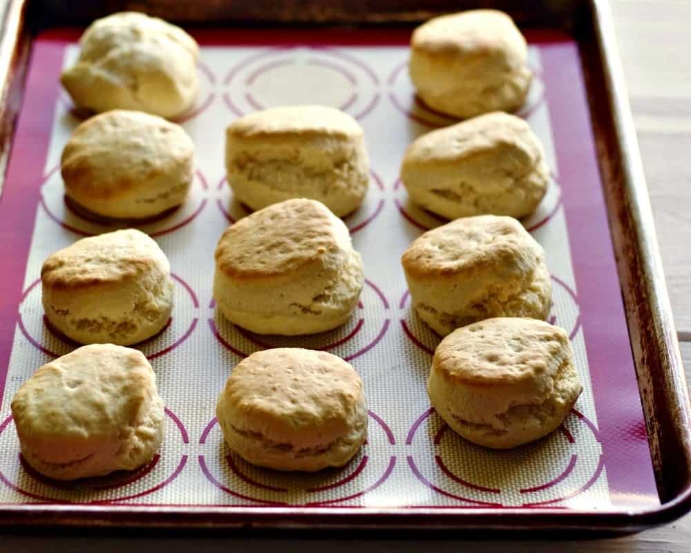 Quick N Easy Baking Powder Biscuits | Homemade Food Junkie