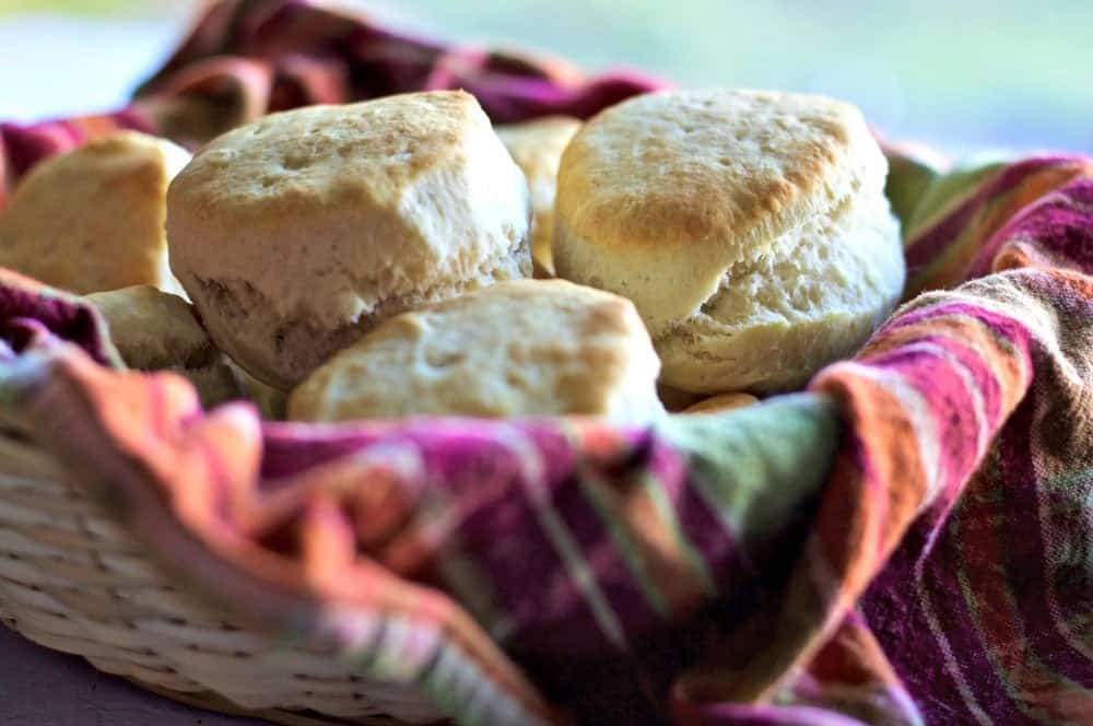 Quick N Easy Baking Powder Biscuits