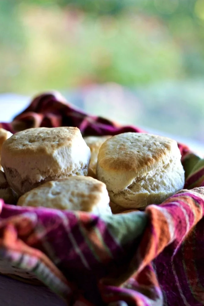 Quick N Easy Baking Powder Biscuits 1 Quick N Easy Baking Powder Biscuits