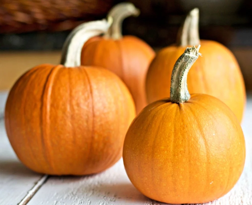 How To Process Pumpkins