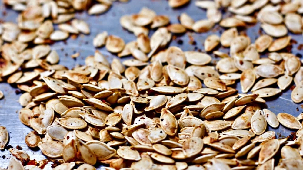 Roasted Pumpkin Seeds