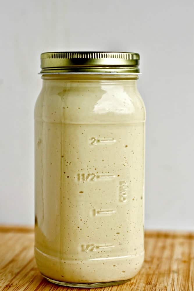 Healthy Homemade Mayonnaise