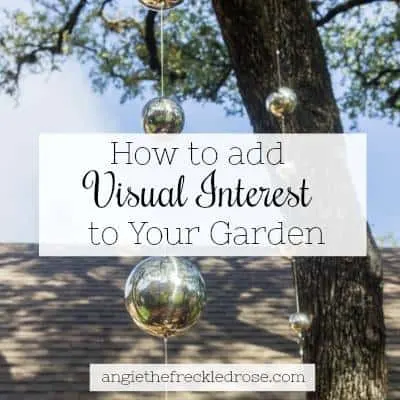 Visual Interest In The Garden