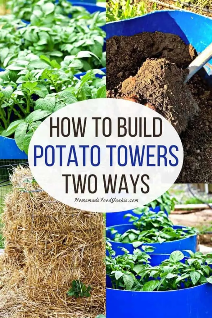 How To Plant Seed Potato Barrels 12 How To Build Potato Towers Two Ways-Pin Image