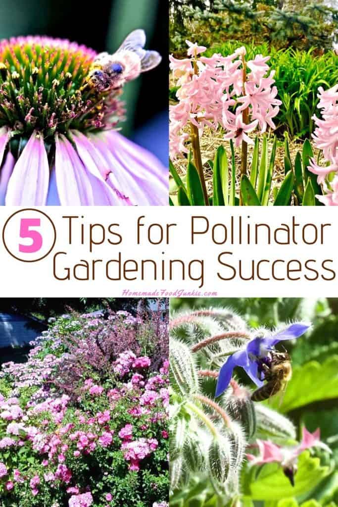 Five Tips For Pollinator Garden Success | Homemade Food Junkie