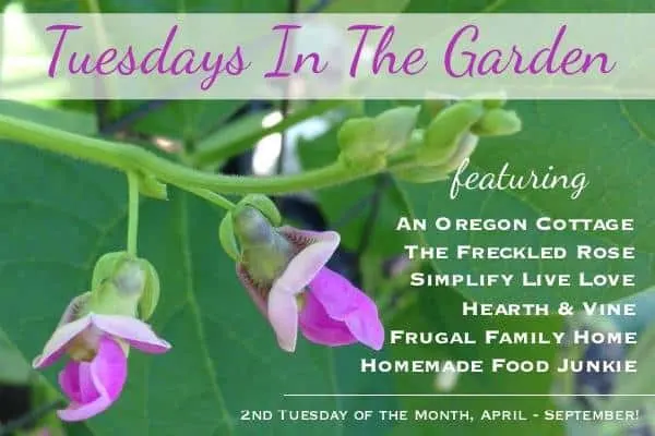 Tuesday Garden Blog Hop