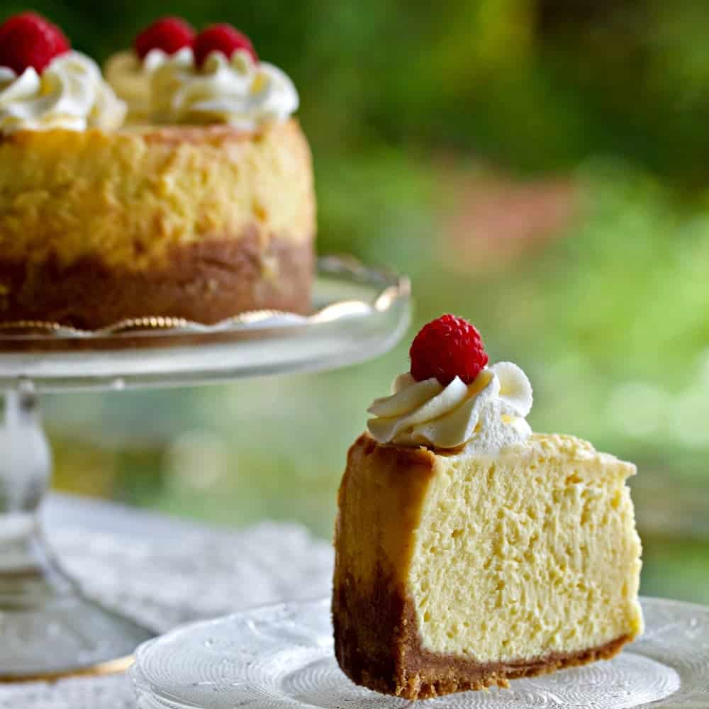 Instant pot cheesecake 6 inch online