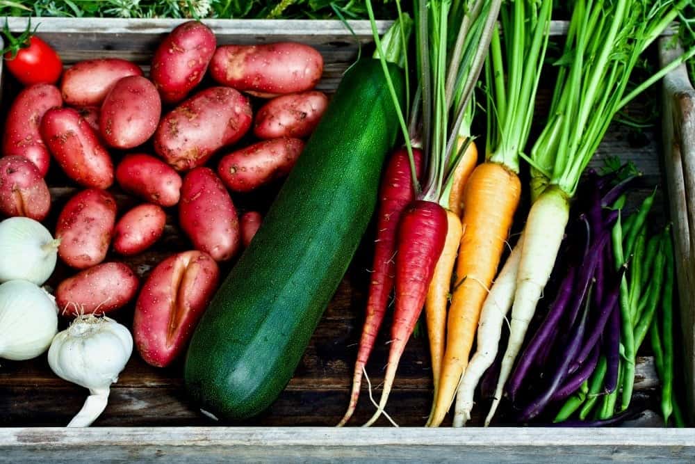 9 Tips For Gardening Success. Harvested Zucchini, Rainbow Carrots, Purple And Green Beans, Red Potatoes, Onion And Garlic.