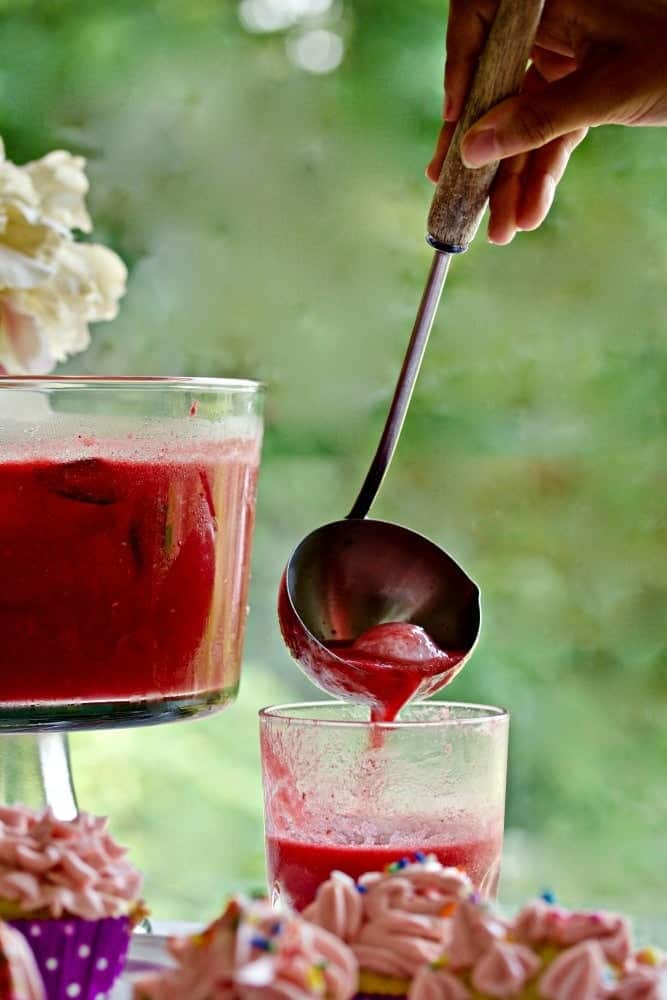 Watermelon Raspberry Party Punch