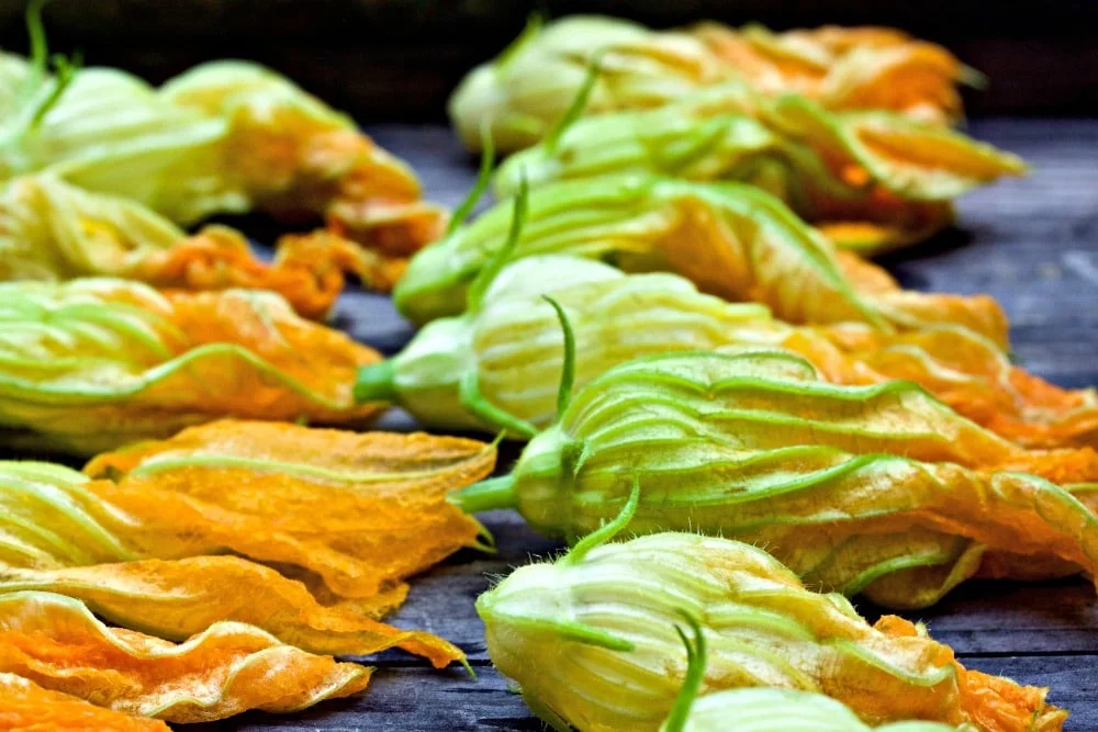 Washed Squash Blossoms