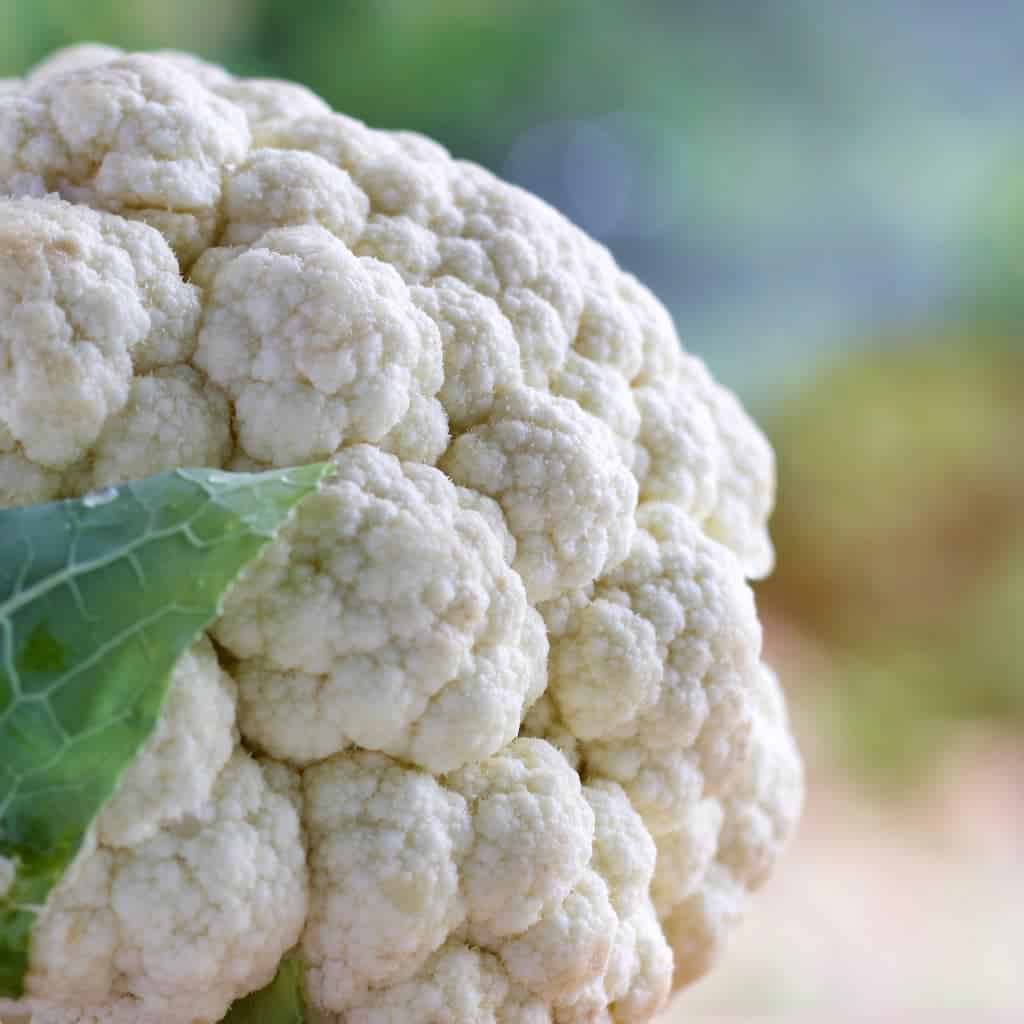 Creamy Cauliflower Salad Recipe 3 Cauliflower