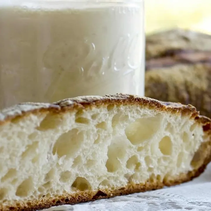 How to Make sourdough starter with Wild Yeast