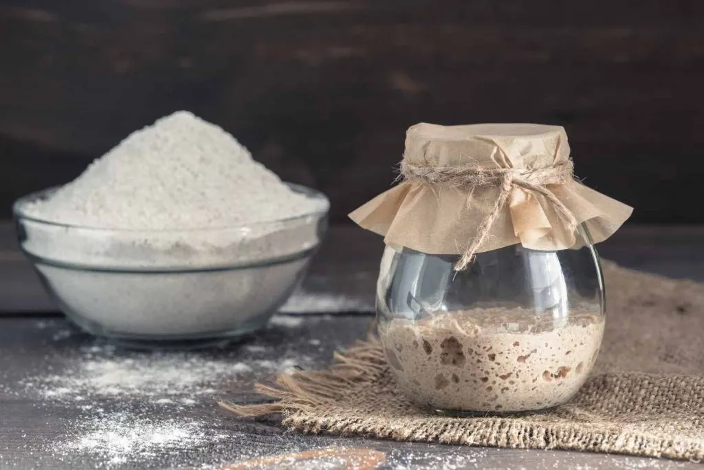 How To Make Sourdough Starter 1 Starter And Flour