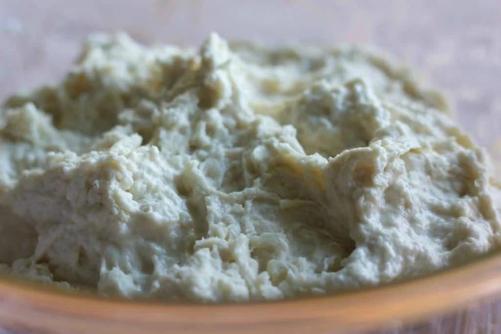 Sourdough Shaggy Ball Stage