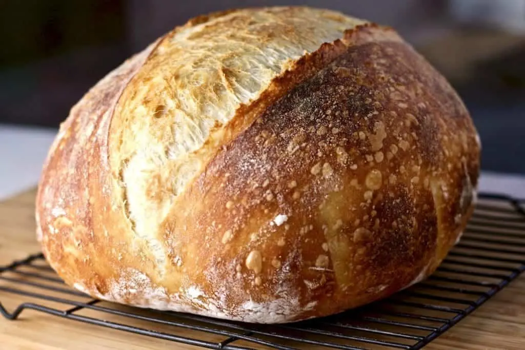 Beginner Artisan Sourdough Bread Recipe