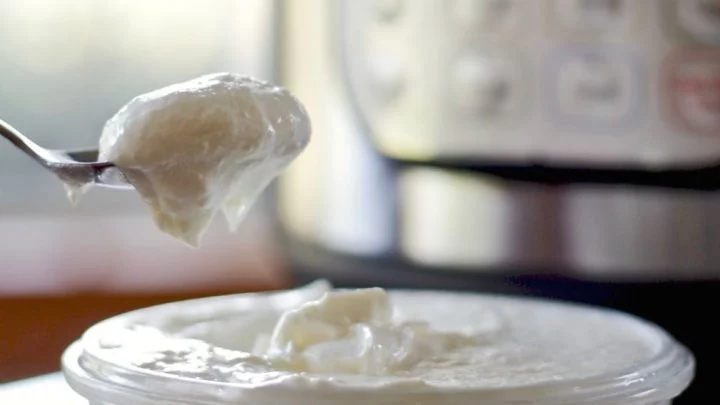 Instant Pot Greek Yogurt Recipe 7 Instant Pot Greek Yogurt