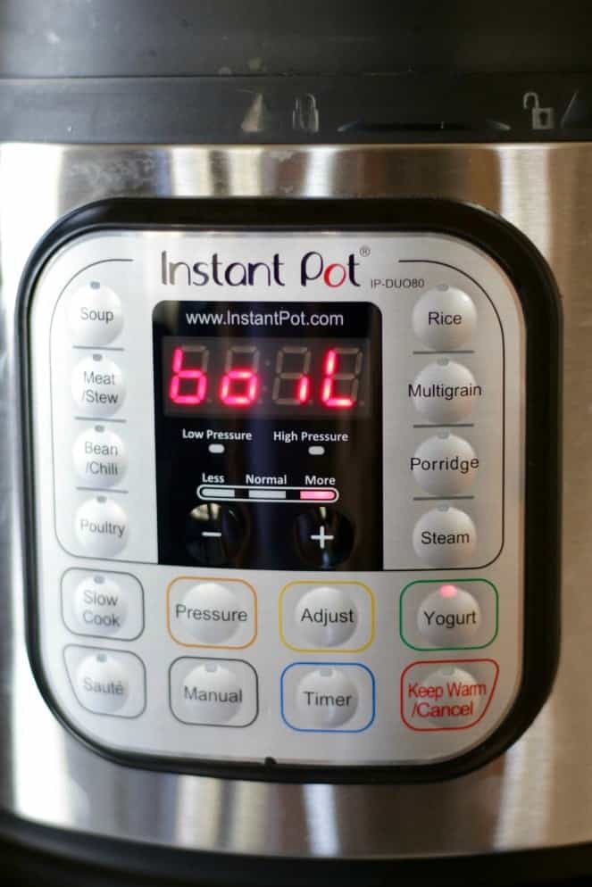 Instant Pot Greek Yogurt Recipe Homemade Food Junkie