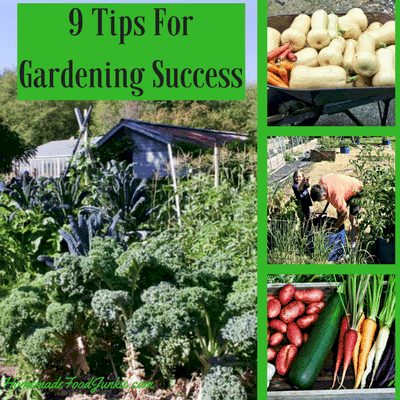 9 Tips for gardening success