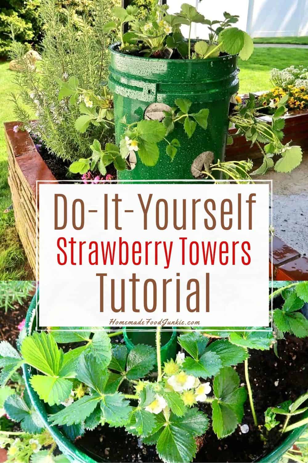 DIY Strawberry Towers Tutorial Homemade Food Junkie