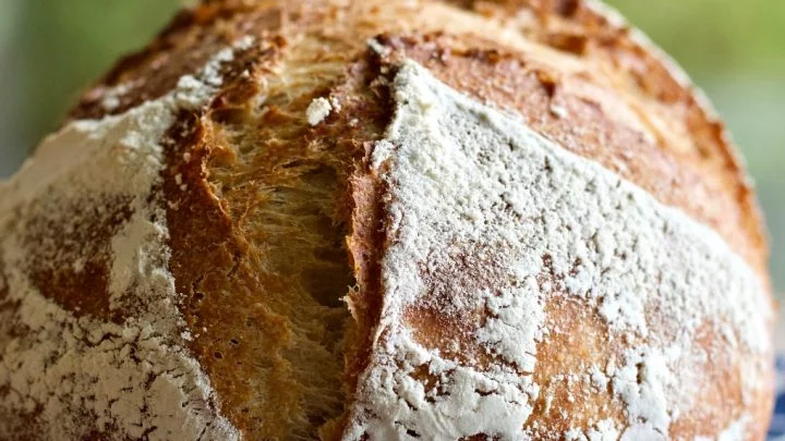 Sourdough Whole Wheat Artisan Bread