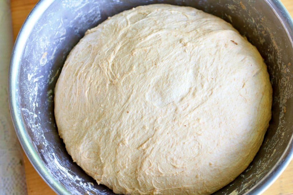 Sourdough Whole Wheat Dough