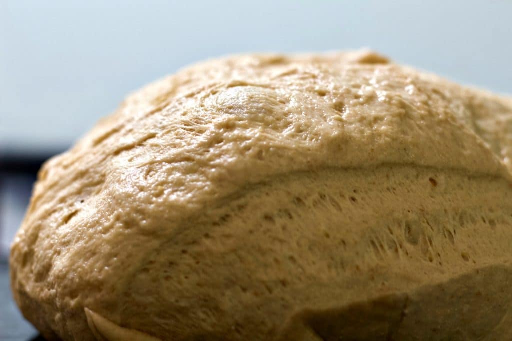 Beginner Whole Wheat Artisan Sourdough Bread dough ready to bench rest Beginner Whole Wheat Artisan Sourdough Bread dough