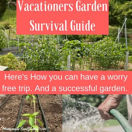 Vacationers Garden Survival Guide