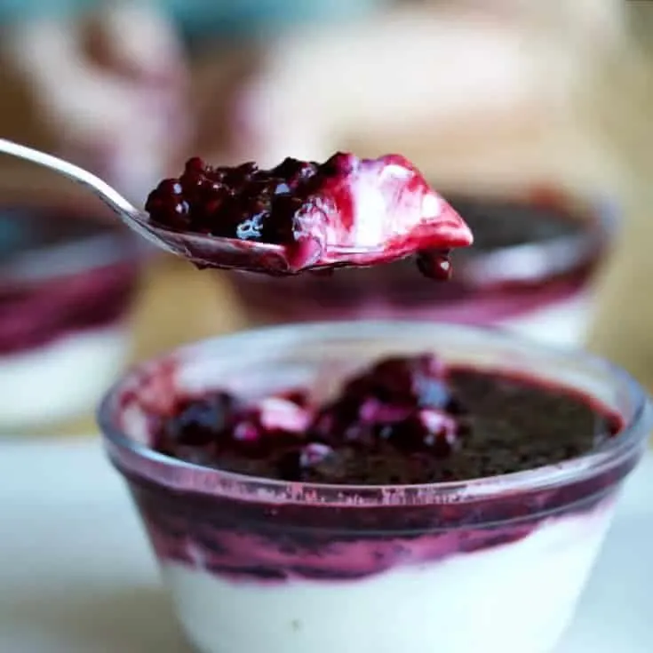 Sugar Free Blackberry Cheesecake Dessert