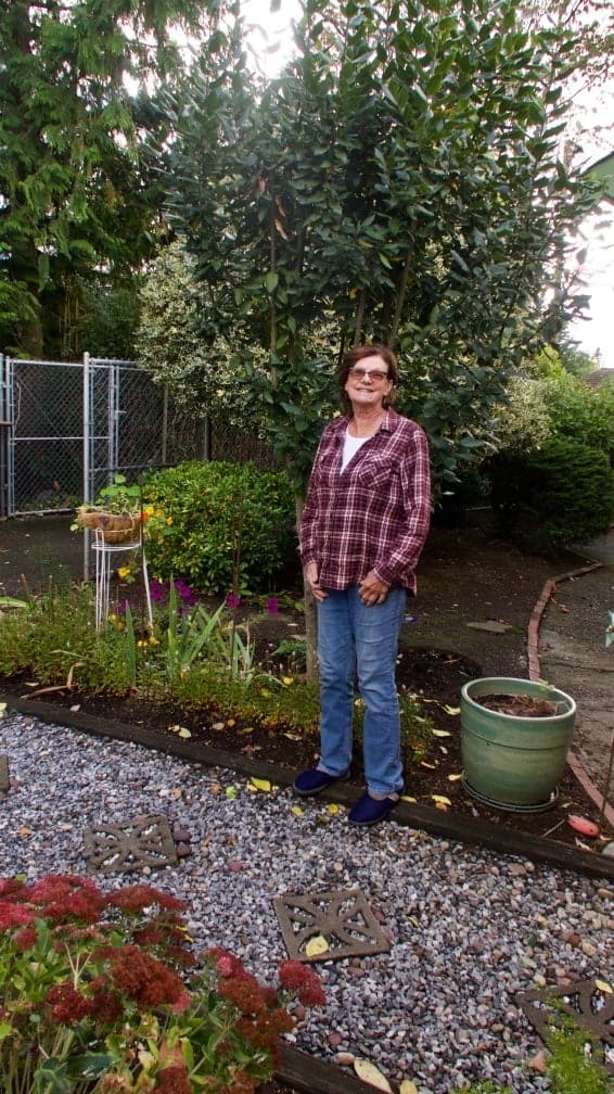 Extraordinary German Cabbage Rolls (Krautwickel) 2 Brigitte And Her Bay Leaf Tree