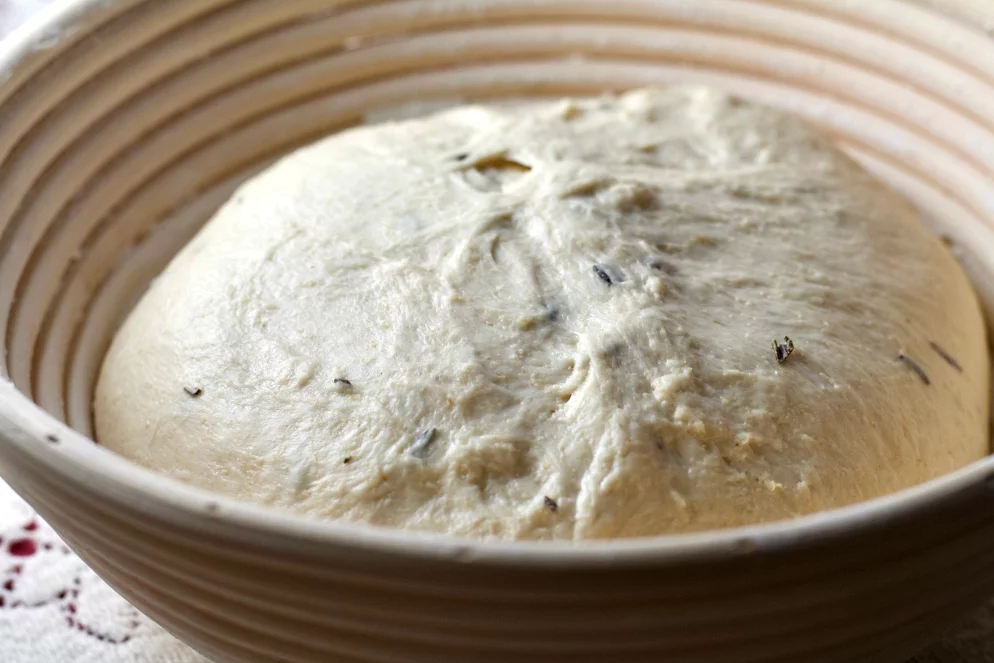 Roasted Garlic Rosemary Dough