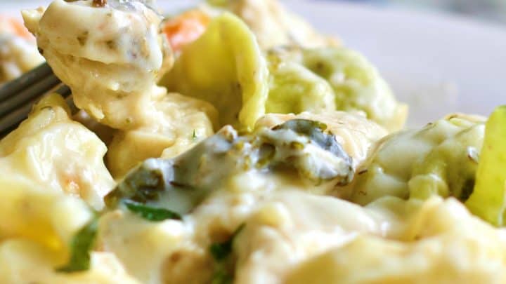 Delicious Chicken Tortellini Alfredo 6 Chicken Tortellini Alfredo On A Fork