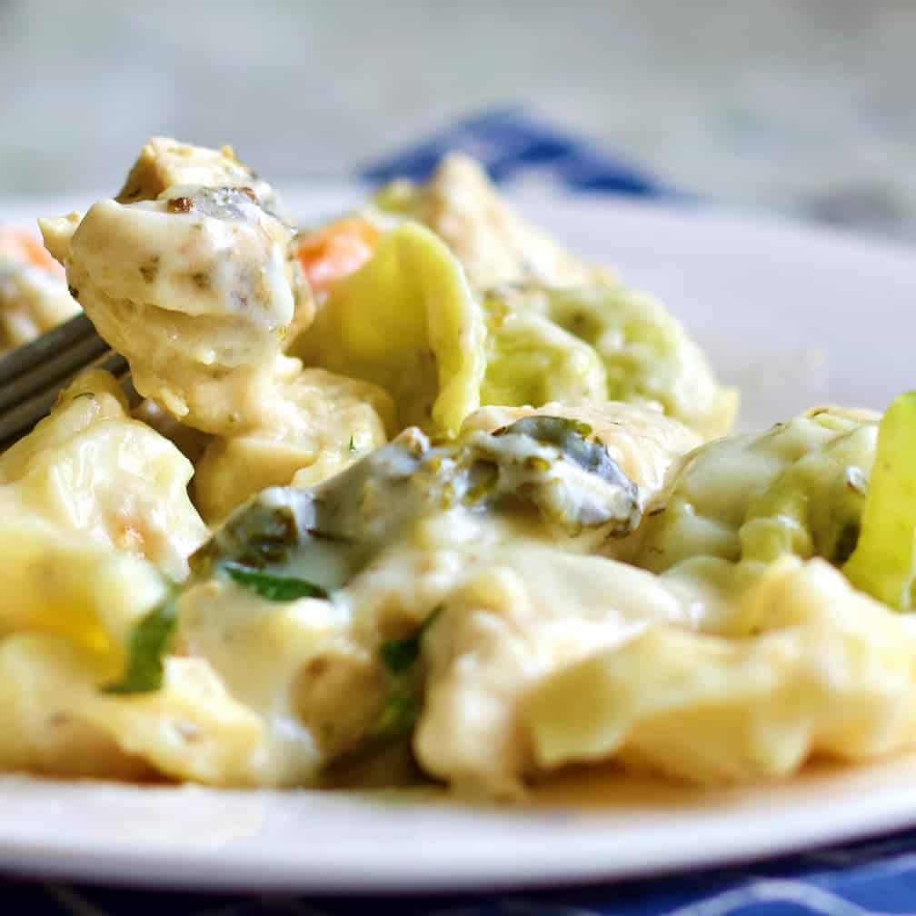 Chicken Alfredo Tortellini With Homemade Alfredo Sauce 1 Chicken Tortellini Alfredo On A Fork