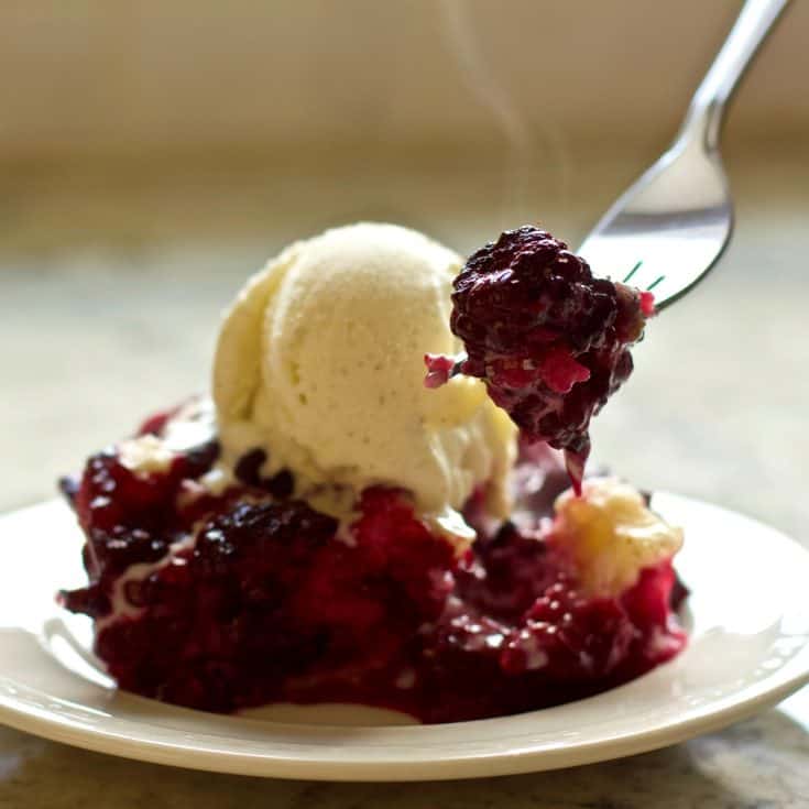 Blackberry Cobbler RecipeHomemade Food Junkie