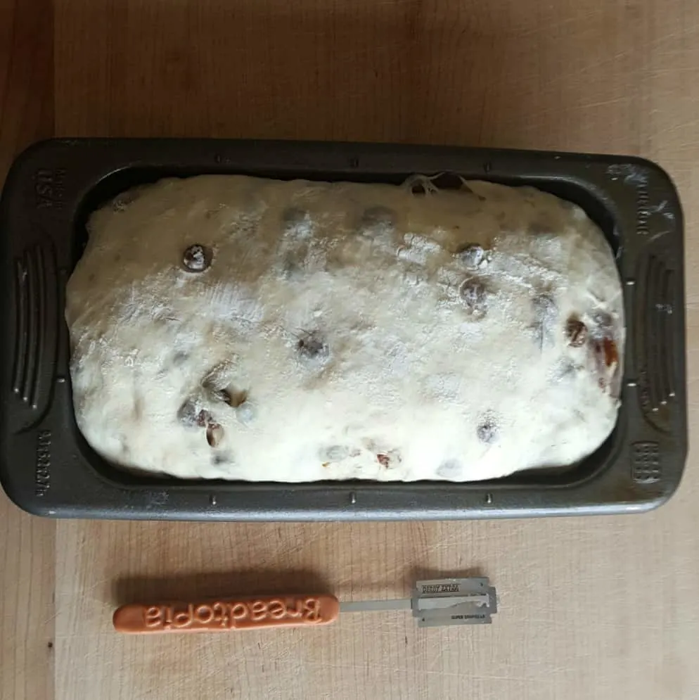 Final Rise-Cinnamon Raisin Bread