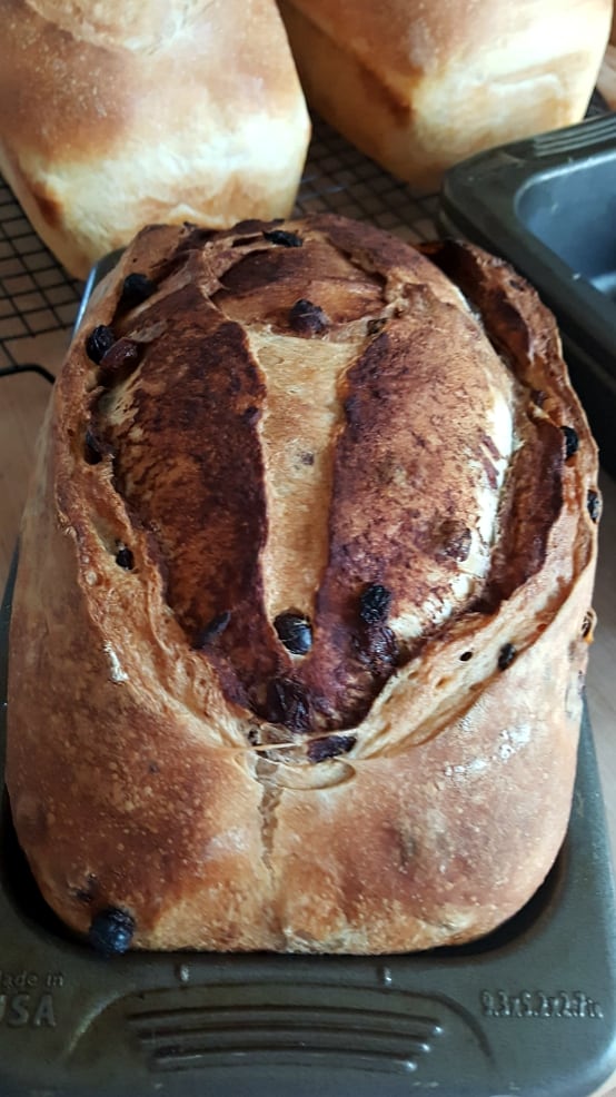 Finished Loaf-Sourdough Cinnamon Raisin Bread